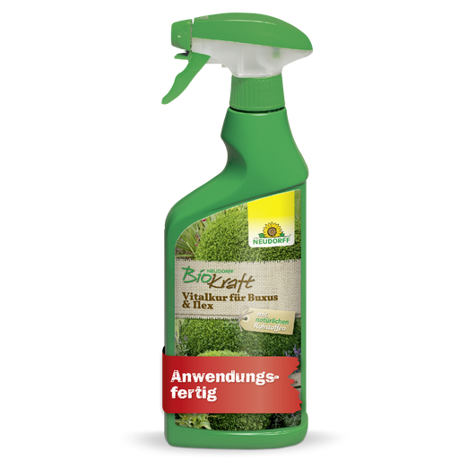 Neudorff BioKraft Vitalkur für Buxus & Ilex - Silberkraft