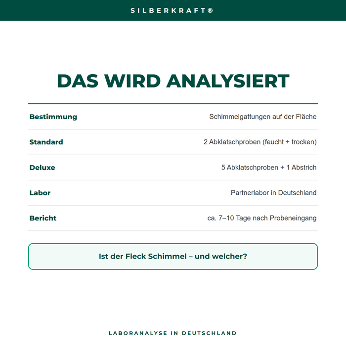 Schimmeltest Oberfläche – das wird im Labor analysiert