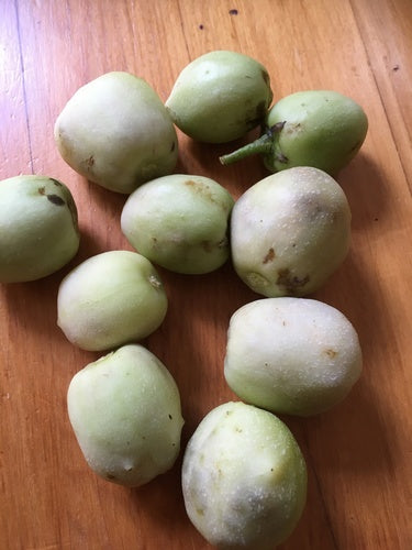 Pepino — foto 1 di 2
