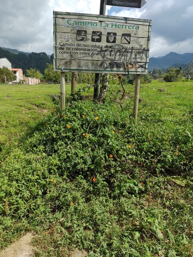 Susan dagli occhi neri — Bild 2