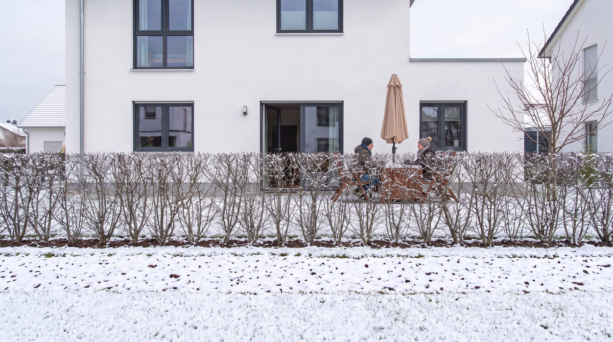 Acero campestre come siepe alta 1,80 m (Inverno) davanti alla terrazza dei vicini – visualizzazione IA