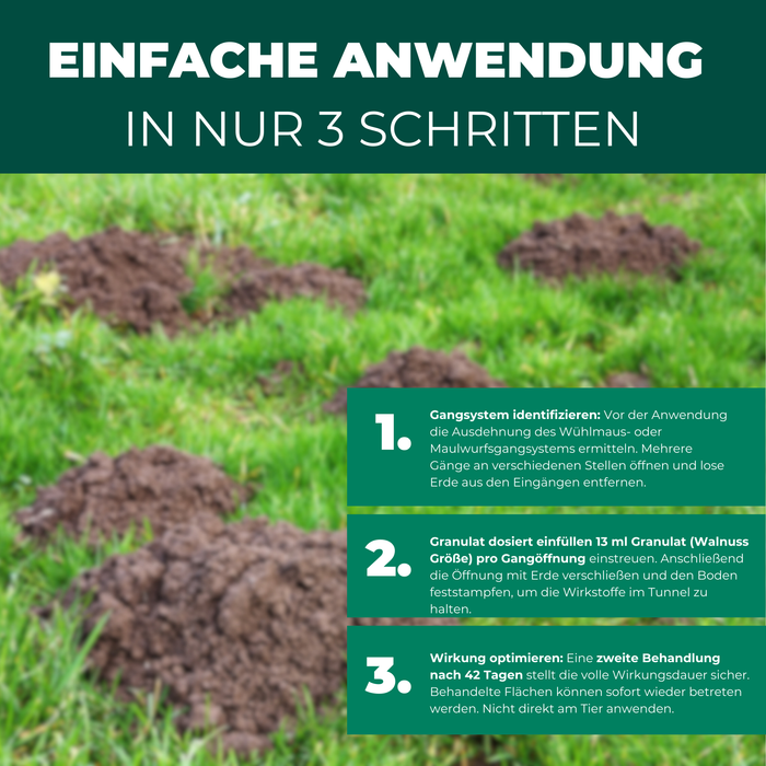 Silberkraft Wühlmaus & Maulwurf Vertreiber – Einfache Anwendung in 3 Schritten: Gänge identifizieren, Granulat einfüllen und Wirkung optimieren. Effektiver Schutz vor Wühlmäusen und Maulwürfen im Garten.