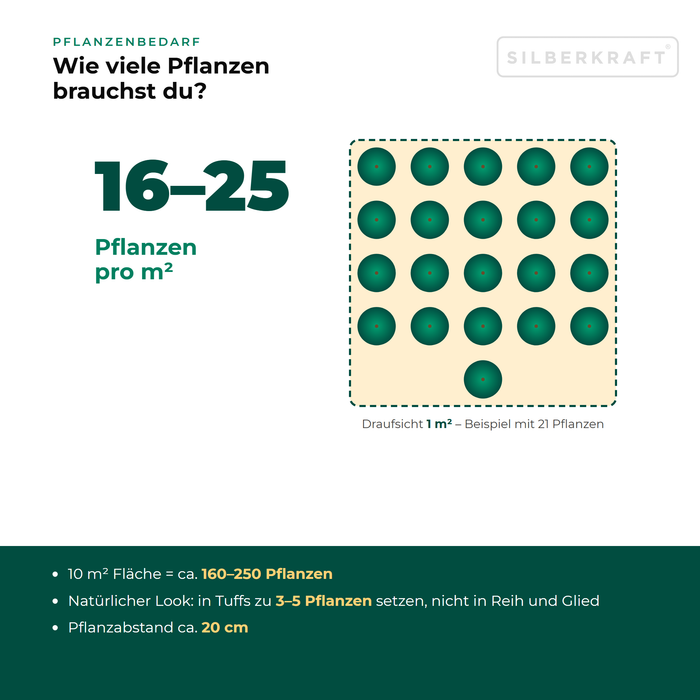 Pflanzenbedarf Ausdauerndes Gänseblümchen (Bellis perennis): 16–25 Pflanzen pro m², 10 m² Fläche = ca. 160–250 Pflanzen
