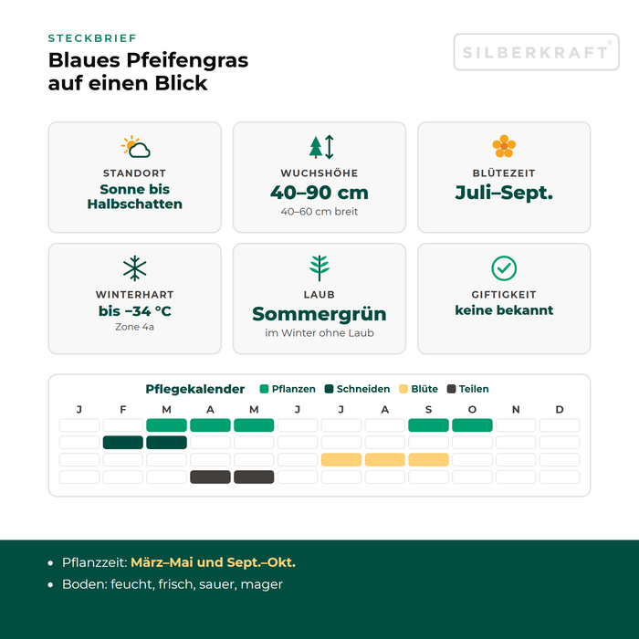 Steckbrief Blaues Pfeifengras (Molinia caerulea) mit Standort, Wuchshöhe, Winterhärte, Giftigkeit und Pflegekalender