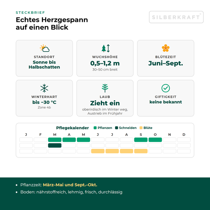 Steckbrief Echtes Herzgespann (Leonurus cardiaca) mit Standort, Wuchshöhe, Winterhärte, Giftigkeit und Pflegekalender