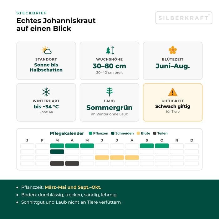Steckbrief Echtes Johanniskraut (Hypericum perforatum) mit Standort, Wuchshöhe, Winterhärte, Giftigkeit und Pflegekalender