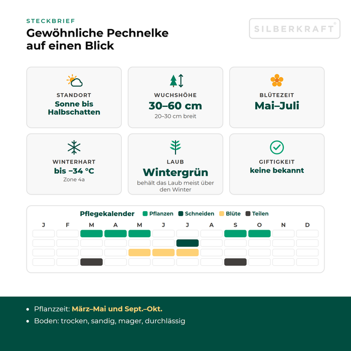 Steckbrief Gewöhnliche Pechnelke (Viscaria vulgaris) mit Standort, Wuchshöhe, Winterhärte, Giftigkeit und Pflegekalender