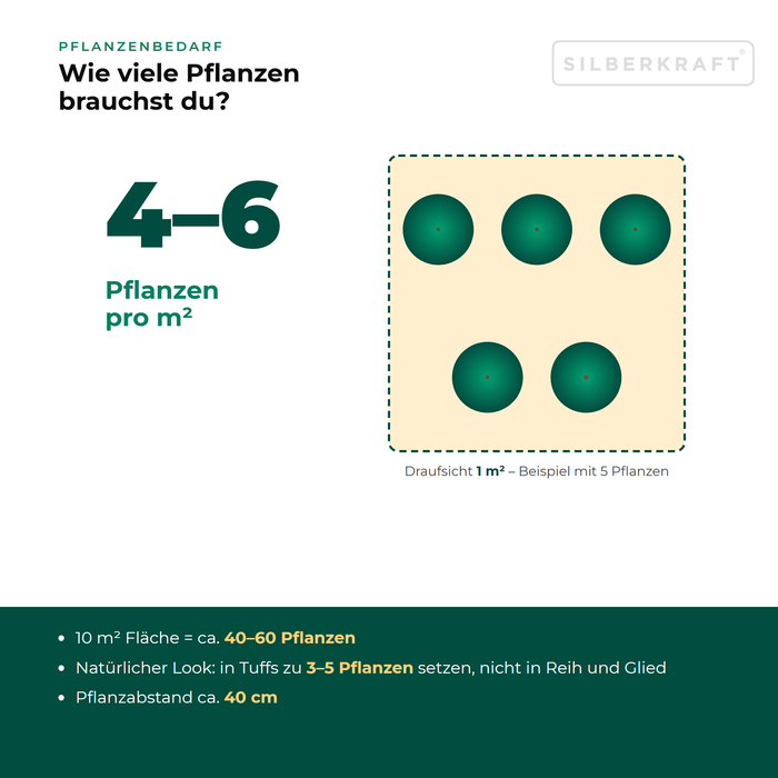 Pflanzenbedarf Gewöhnlicher Gilbweiderich (Lysimachia vulgaris): 4–6 Pflanzen pro m², 10 m² Fläche = ca. 40–60 Pflanzen
