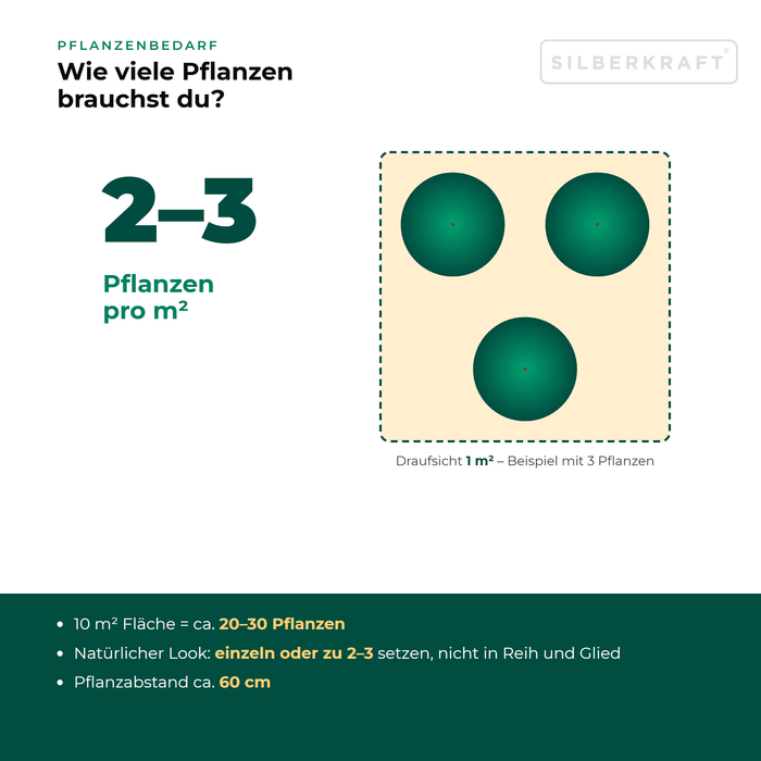 Pflanzenbedarf Gewöhnlicher Wasserdost (Eupatorium cannabinum): 2–3 Pflanzen pro m², 10 m² Fläche = ca. 20–30 Pflanzen
