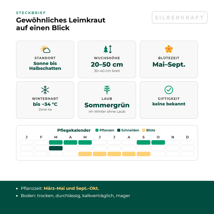 Steckbrief Gewöhnliches Leimkraut (Silene vulgaris) mit Standort, Wuchshöhe, Winterhärte, Giftigkeit und Pflegekalender