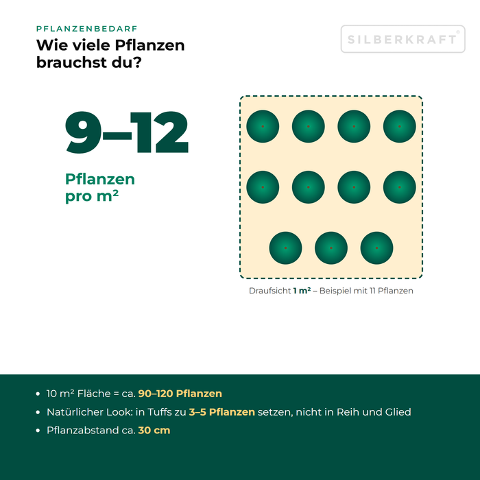 Pflanzenbedarf Gundermann (Glechoma hederacea): 9–12 Pflanzen pro m², 10 m² Fläche = ca. 90–120 Pflanzen