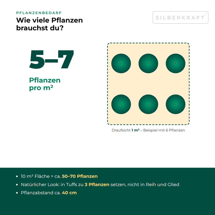 Pflanzenbedarf Große Fetthenne (Hylotelephium telephium): 5–7 Pflanzen pro m², 10 m² Fläche = ca. 50–70 Pflanzen