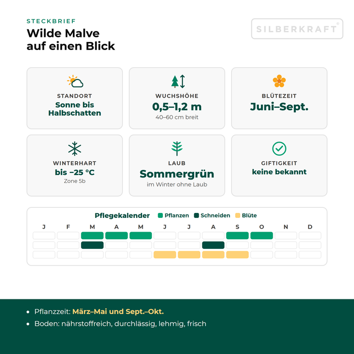 Steckbrief Wilde Malve (Malva sylvestris) mit Standort, Wuchshöhe, Winterhärte, Giftigkeit und Pflegekalender