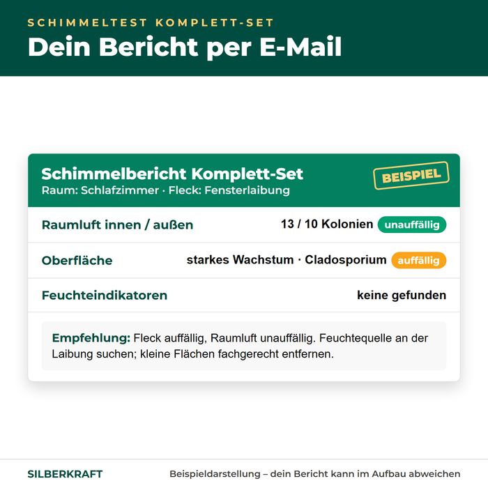 Esempio di referto muffa per il set completo