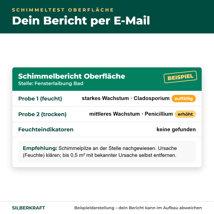 Esempio di referto muffa per il campione di superficie