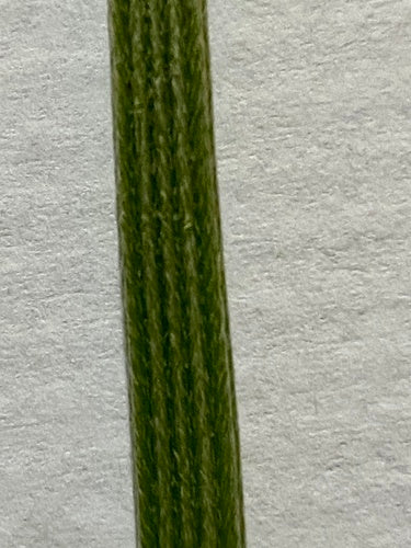 Piantaggine piantaggine — Bild 5