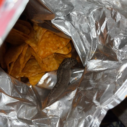 Naturaufnahme - Bild 1