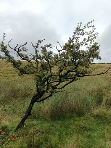 Naturaufnahme - Bild 6