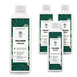 Concime per palme - Concime liquido minerale NPK con azoto - Concime per palme - Concime per palma Yucca - Concime per palme - Silberkraft