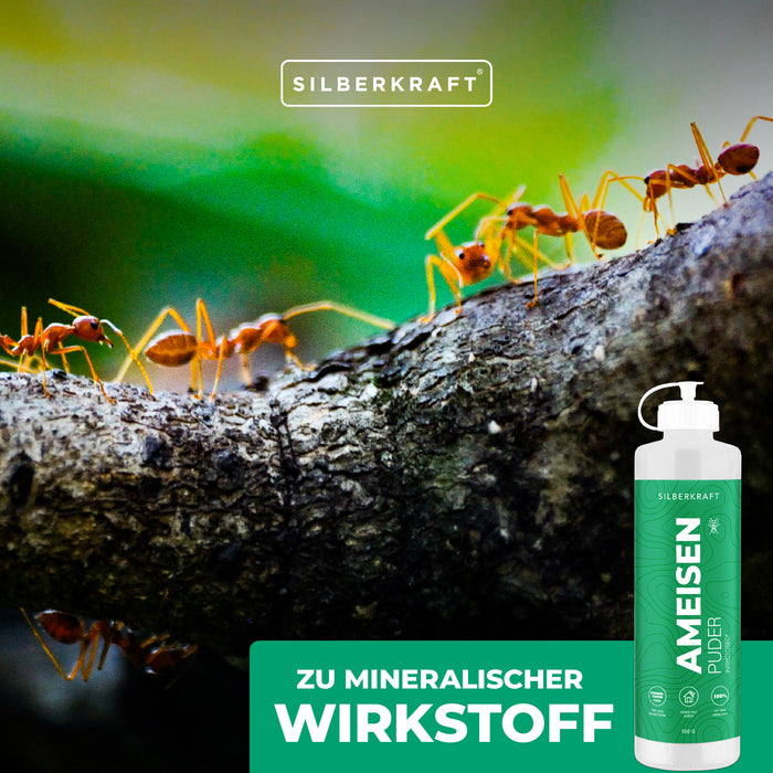 Polvere anti-formiche – Uccidi formiche per uso interno ed esterno – 100% terra di diatomee – Alternativa all’esca per formiche e allo spray per formiche