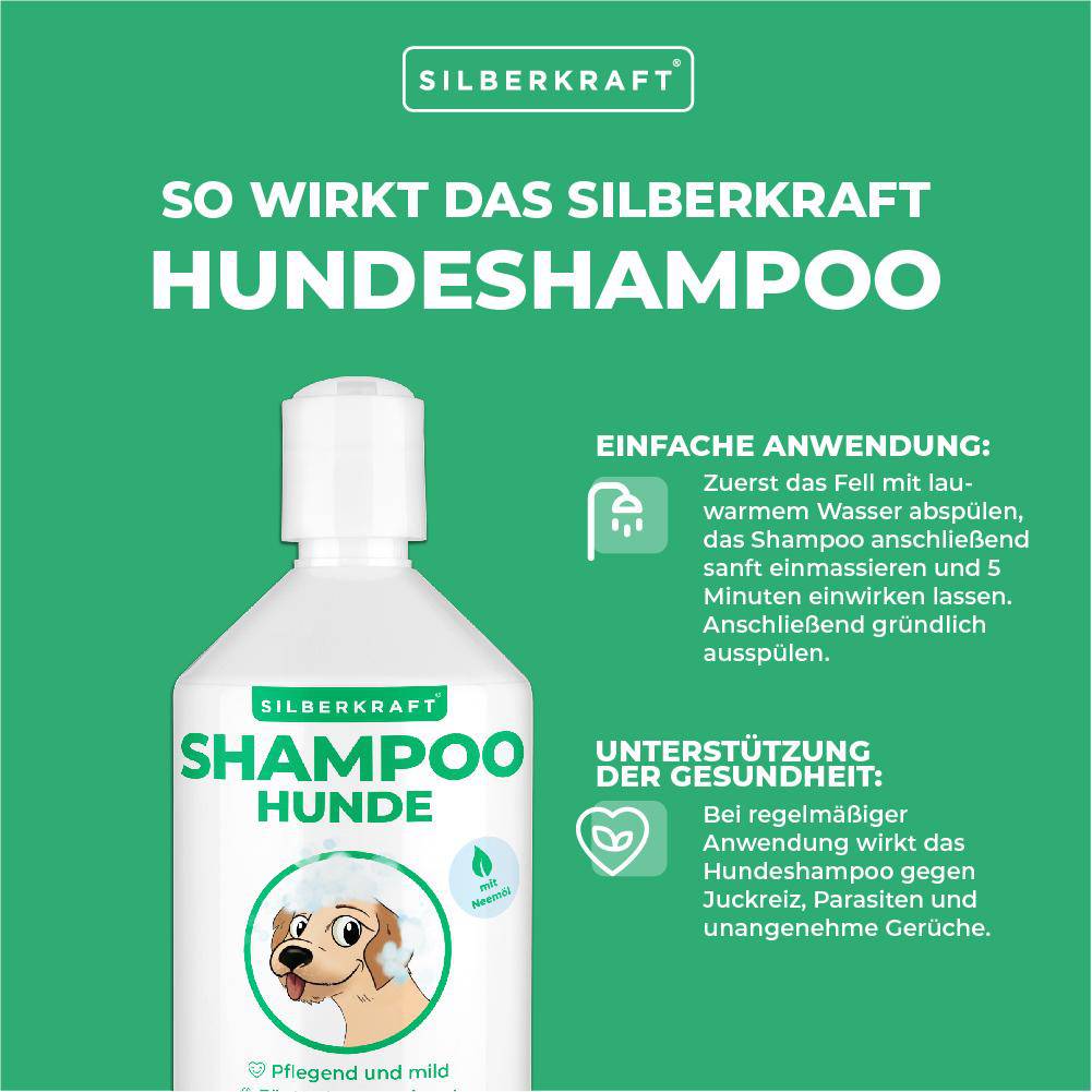 Maggiori informazioni