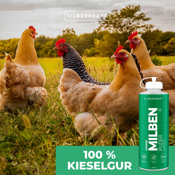 Polli in polvere di acaro