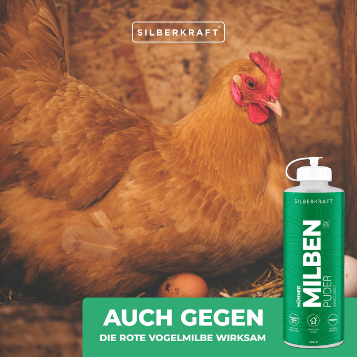 Polli in polvere di acaro